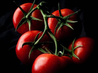 Renuncia a comer tomates en invierno y salva el planeta