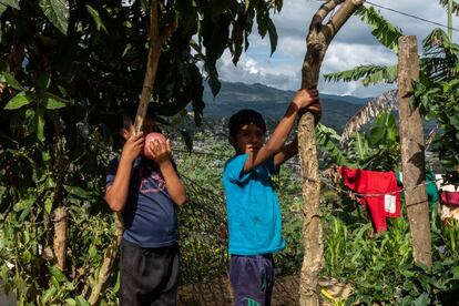 Dos niños en Chilón, Chiapas