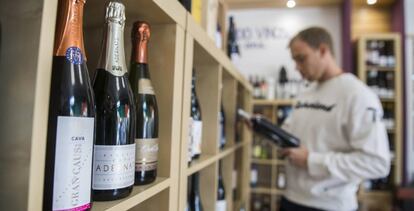 Lineal de cava el miércoles, en una tienda de vinos en Boadilla del Monte, Madrid.