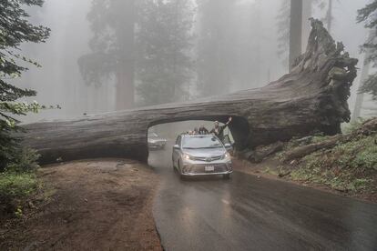 La familia al completo en el parque nacional de Yosemite (Estados Unidos).