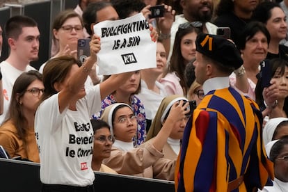 Una activista muestra un cartel en el que se lee: "Las corridas de toros son pecado", este miércoles durante la audiencia papal en el Vaticano.