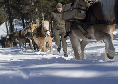 Soldados y caballos de raza 'Haflinger' marchan durante una sesión de entrenamiento en Hochfilzen (Austria). La unidad, que se encuentra dentro del sexto batallón de las Fuerzas Armadas de Austria, entrena a estos animales para suministrar equipamiento, armas y comida al comando de las Fuerzas Terrestres en zonas inaccesibles.