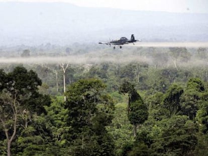 Fumigación aérea sobre narcocultivos en el sur de Colombia.