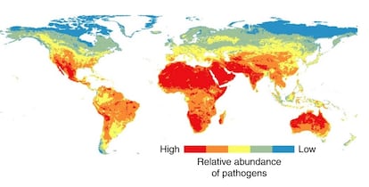 Mapa que muestra la distribución actual de las mayores concentraciones de patógenos. Los colores más rojizos muestran las zonas con más abundancia de estos.