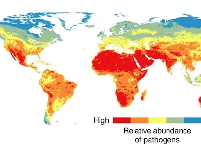 Mapa mostra a distribuição atual das maiores concentrações de patógenos. As cores mais avermelhadas indicam as áreas onde são mais abundantes.