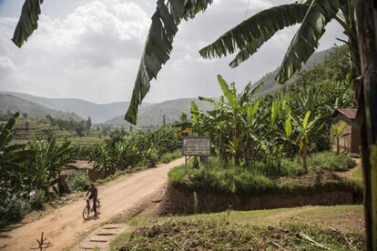 Un hombre recorre en bicicleta una carretera en el valle que separa dos aldeas en colinas adyacentes, en la frontera entre Musambira y Nyarubaka, en distrito de Kamonyi, el 4 de marzo de 2019. 