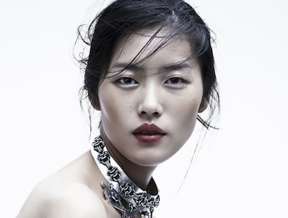 Liu Wen