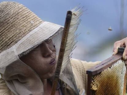 Un apicultor chino sopla a un panal en la provincia de Sichuán.