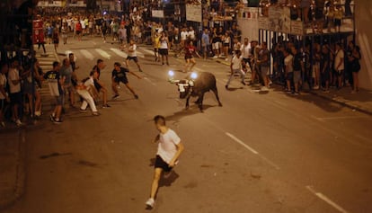 Un 'bou embolat' als carrers d'Amposta durant la festa popular.