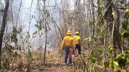 Incendio reserva Calakmul