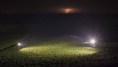 El sector del vino se plantea llevar m&aacute;s al norte los vi&ntilde;edos.