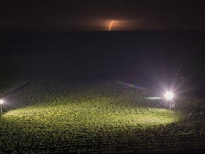 El sector del vi es planteja portar le svinyes més al nord.