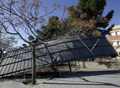 La techumbre del instituto La Asunción de Elche, derribada ayer por el fuerte viento.