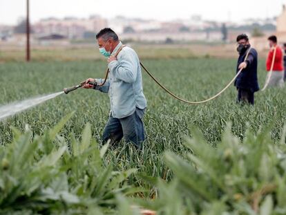 La exportación de productos del campo español crecen gracias al confinamiento