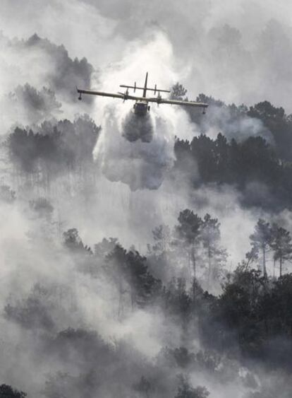 Un avión anfibio descarga agua sobre el fuego en Piñor de Cea (Ourense).