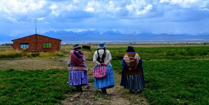 Tres 'cholitas', como se conoce a las bolivianas que usan las vestimentas características de esta zona Andina, caminan por la población de Huarialtaya, en el municipio de Pucarani, en el Altiplano.
