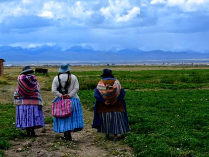 Tres 'cholitas', como se conoce a las bolivianas que usan las vestimentas características de esta zona Andina, caminan por la población de Huarialtaya, en el municipio de Pucarani, en el Altiplano.