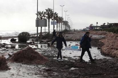 Efectes del temporal Glòria al delta de l'Ebre.