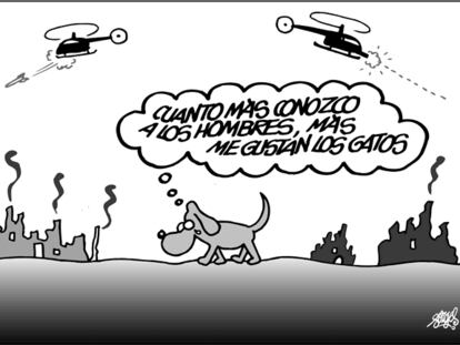 FORGES