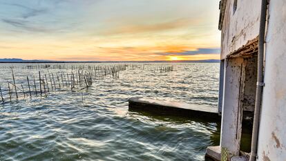 L'Albufera de Valencia en una imagen reciente.