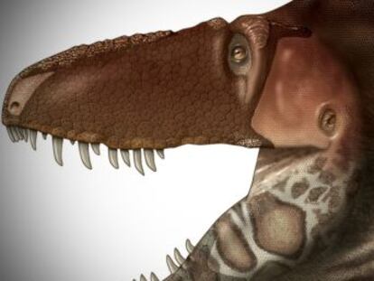Un equipo de paleontólogos ha descubierto una nueva especie, cuyo hocico tenía un alto grado de sensibilidad táctil