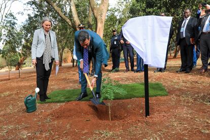 El presidente del Gobierno, Pedro Sánchez, planta un árbol en la sede de Naciones Unidas en Nairobi (Kenia), este jueves durante su gira africana.