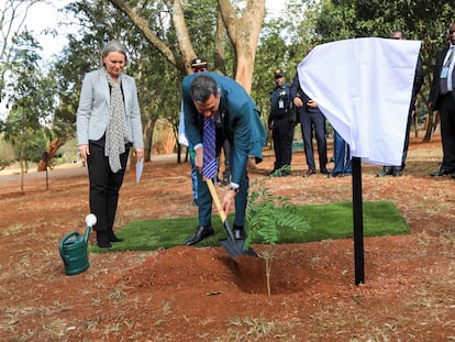 El presidente del Gobierno, Pedro Sánchez, planta un árbol en la sede de Naciones Unidas en Nairobi (Kenia), este jueves durante su gira africana.