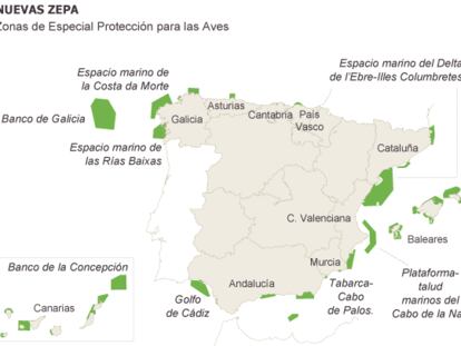 La superficie protegida para las aves marinas se multiplica por 20 en España