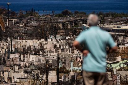 Maui wildfire