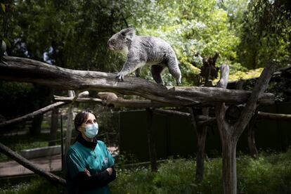 Visita al zoo de Madrid mes y medio despus de que se decretase el estado de alarma.