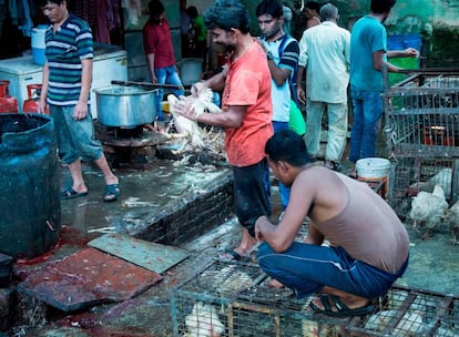 Un mercado de animales vivos en India.
