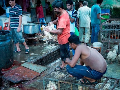 Un mercado de animales vivos en India.