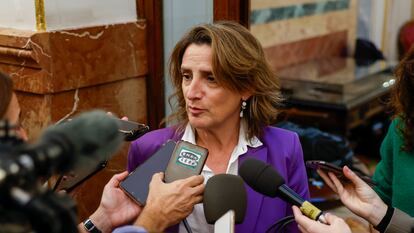 La vicepresidenta tercera y ministra para la Transición Ecológica y el Reto Demográfico, Teresa Ribera, en los pasillos del Congreso de los Diputados.