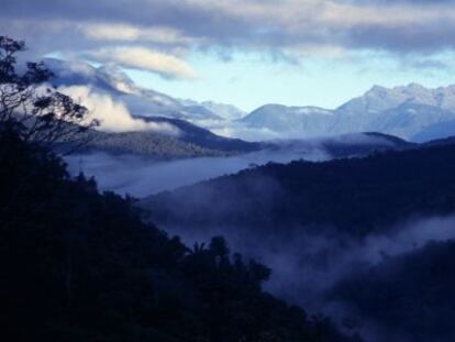 Pauji Yuyo, en el parque nacional Madidi (Bolivia).