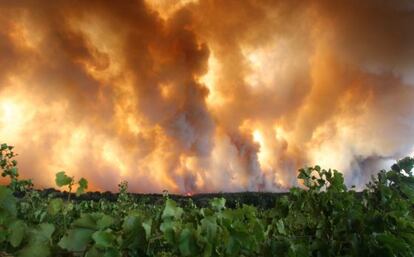 Los incendios de La Jonquera y de Portbou desatados el 22 de julio quemaron 13.000 hectáreas y costaron la vida a cuatro personas