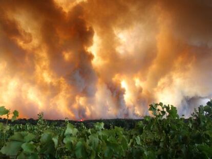 Los incendios de La Jonquera y de Portbou desatados el 22 de julio quemaron 13.000 hectáreas y costaron la vida a cuatro personas