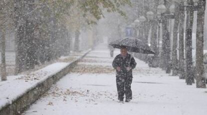 Un hombre camina por la nieve en mitad del parque del Prado de Vitoria.