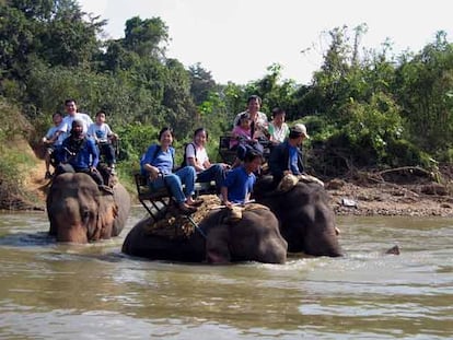 Una de las atracciones turísticas más solicitadas en Chiang Mai, al norte de Tailandia: una excursión a lomos de elefante atravesando el río y los bosques de teca.