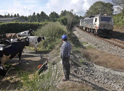 Paso de ganado cortado por la vía del tren en A Pena, a tres kilómetros de Curtis.