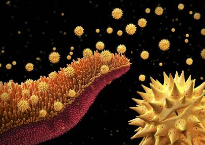 Ilustración digital de granos de polen, otra de las 20 imágenes seleccionadas por el jurado de los premios Wellcome Awards. El ganador de la edición de 2015 se anunciará la próxima semana.