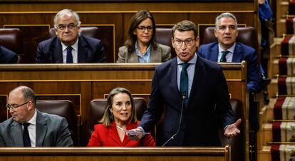 El líder del PP, Alberto Núñez Feijóo, durante su intervención en la sesión de control al Gobierno, este miércoles en el Congreso.  