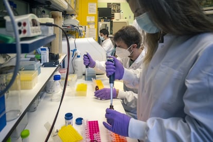 Ana Esteban y Jorge Ripoll recogen muestras con pipetas en el Laboratorio de Seguridad Biológica de nivel 1.
