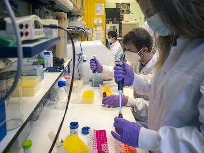Investigadores en el Laboratorio de Seguridad Biológica del Centro Nacional de Biotecnología del CSIC, en Cantoblanco (Madrid).