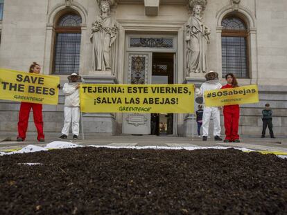 Activistes de Greenpeace tiren abelles mortes a la porta de Ministeri d'Agricultura, a Madrid.