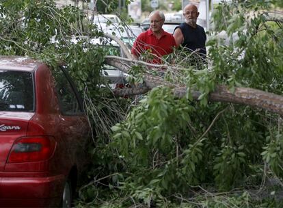 Caída de árboles y pequeñas inundaciones por la tormenta