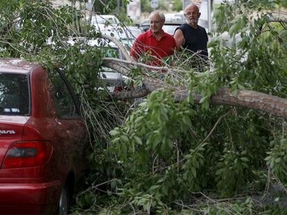 Caída de árboles y pequeñas inundaciones por la tormenta
