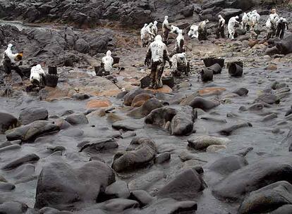 Voluntarios limpian de chapapote una playa de Lira, en Carnota, en diciembre de 2002.