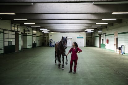 Una alumna del hospital veterinario posa con el caballo 'Arvejón' en las instalaciones de la Universidad Complutense.