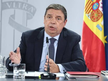 Luis Planas, ministro de Agricultura