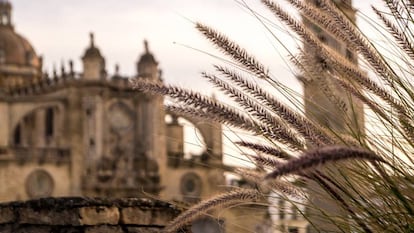 Catedral de Jerez.